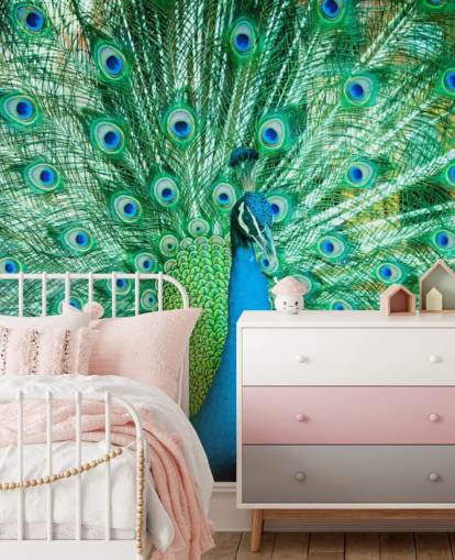 Portrait of Peacock with Feathers Out Mural 