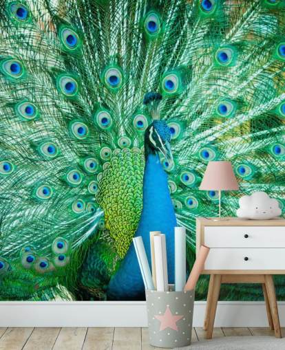 Portrait von Peacock mit Federn heraus Wandbild Portrait von Peacock mit Federn heraus Wandbild