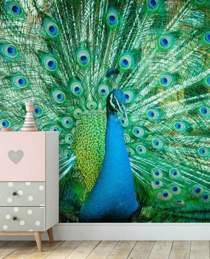 Portrait von Peacock mit Federn heraus Wandbild Portrait von Peacock mit Federn heraus Wandbild