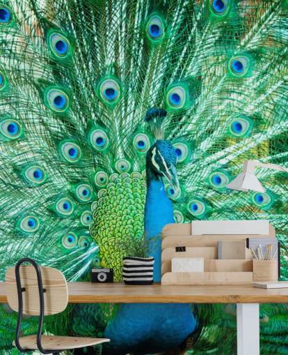 Mural Retrato de pavo real con plumas 