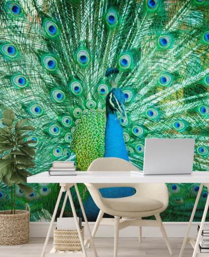 Mural Retrato de pavo real con plumas 