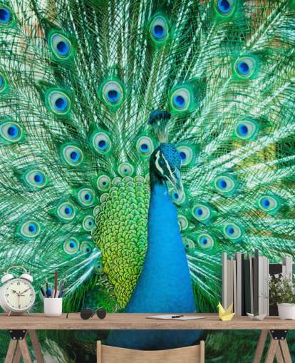 Mural Retrato de pavo real con plumas 