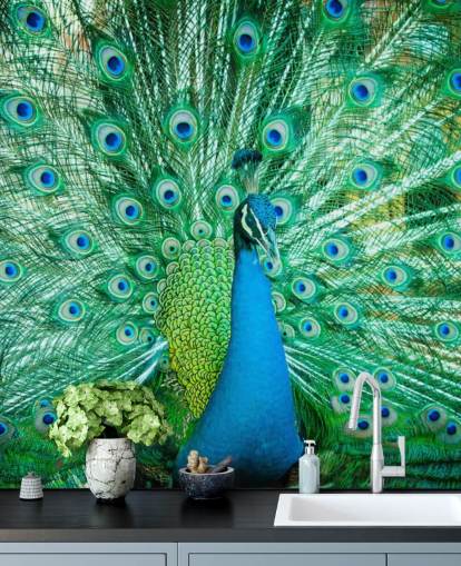 Portrait von Peacock mit Federn heraus Wandbild Portrait von Peacock mit Federn heraus Wandbild