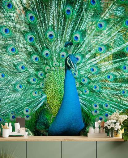 Portrait von Peacock mit Federn heraus Wandbild 