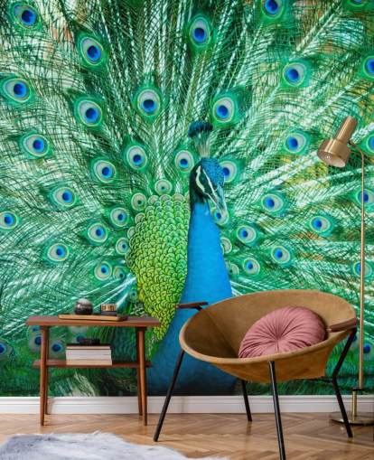 Portrait of Peacock with Feathers Out Mural 