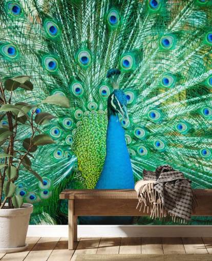 Decorazione murale con ritratto di pavone con piume 