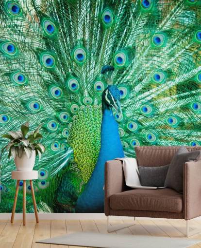 Decorazione murale con ritratto di pavone con piume 