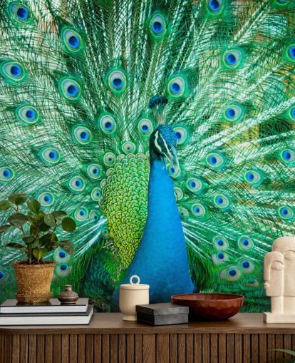Portrait of Peacock with Feathers Out Mural 
