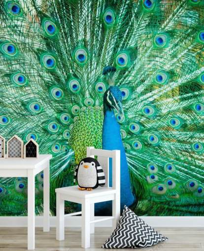 Portrait von Peacock mit Federn heraus Wandbild Portrait von Peacock mit Federn heraus Wandbild
