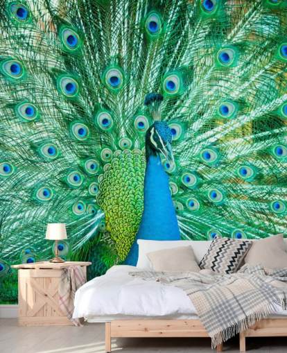 Mural Retrato de pavo real con plumas 