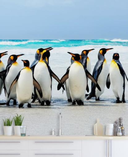 bright customisable penguin wallpaper called Kings of the Beach for children's bedrooms and offices