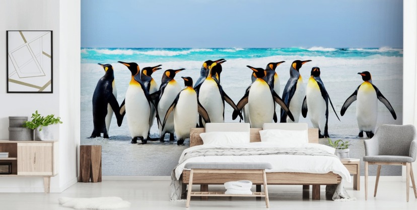 Penguin Wallpaper For Walls Penguin Wallpaper Chrome Web Store