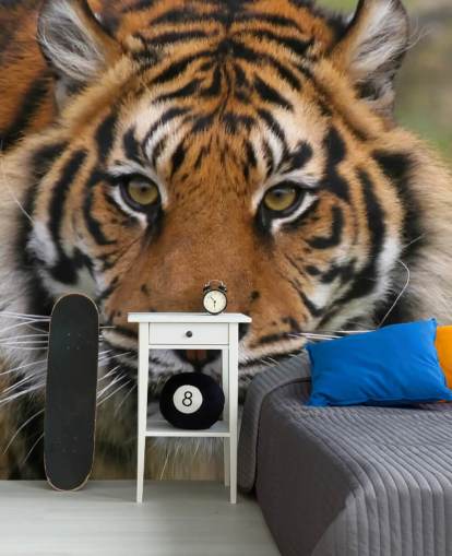 Papel de Parede Close Up Tiger Face Papel de Parede Close Up Tiger Face