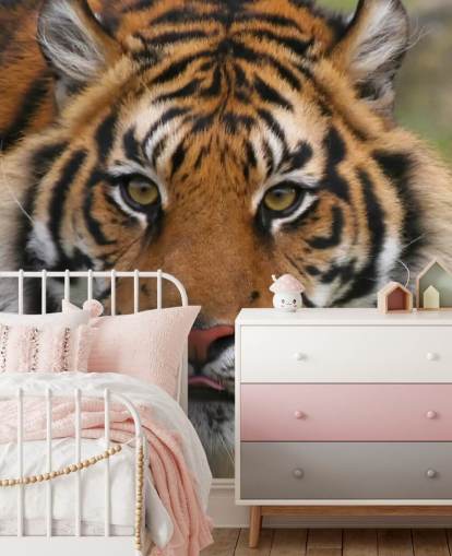 Close Up Tiger Face Wallpaper Close Up Tiger Face Wallpaper