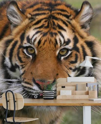 Fondo de pantalla de cara de tigre