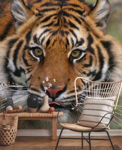 Nahaufnahme Tigergesicht Tapete