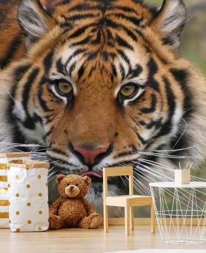 Fondo de pantalla de cara de tigre