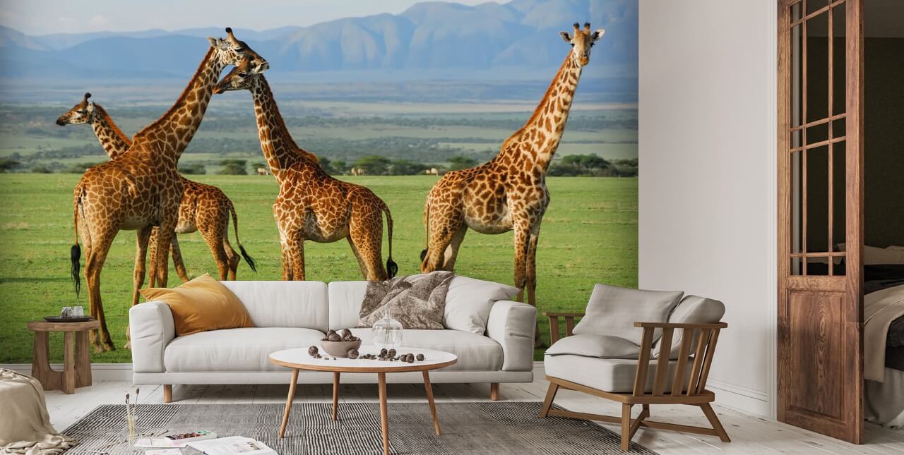 Giraffes Wall Mural Wallsauce US