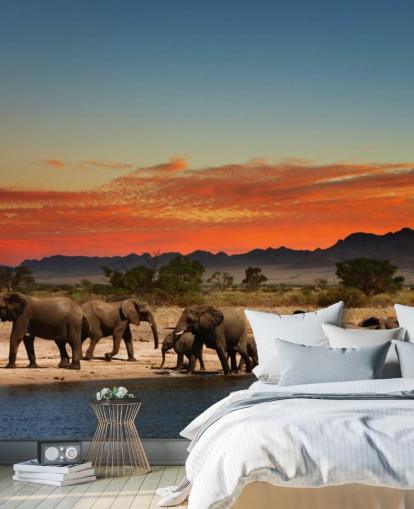 Solnedgång landskap med elefanter Bakgrund