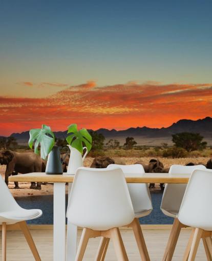 Paisagem do pôr do sol com elefantes Wallpaper