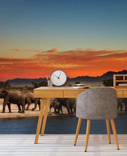 Sunset Landskap med elefanter Bakgrunn Sunset Landskap med elefanter Bakgrunn