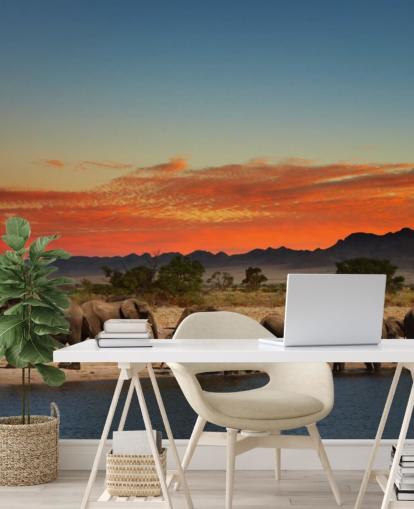 Paisaje al atardecer con elefantes fondo de pantalla Paisaje al atardecer con elefantes fondo de pantalla