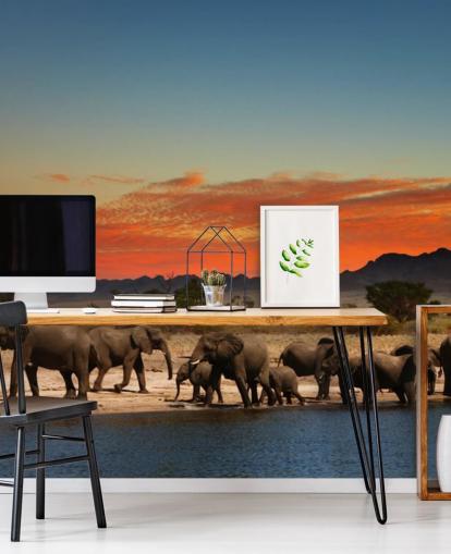 Sunset Landskab med elefanter Baggrund