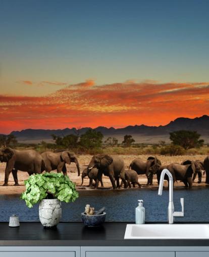 Sunset Landscape with Elephants Wallpaper