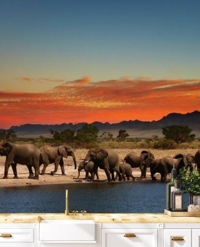 Sunset Landscape with Elephants Wallpaper