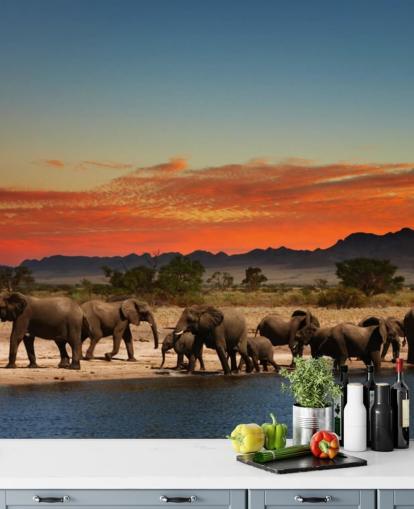 Fond d'écran paysage coucher de soleil avec éléphants Fond d'écran paysage coucher de soleil avec éléphants