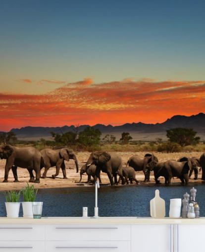Sunset Landscape with Elephants Wallpaper Sunset Landscape with Elephants Wallpaper
