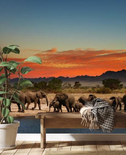 Sunset Landscape with Elephants Wallpaper