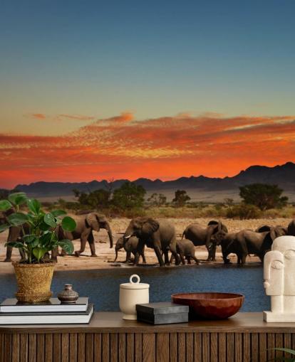 Paisaje al atardecer con elefantes fondo de pantalla Paisaje al atardecer con elefantes fondo de pantalla