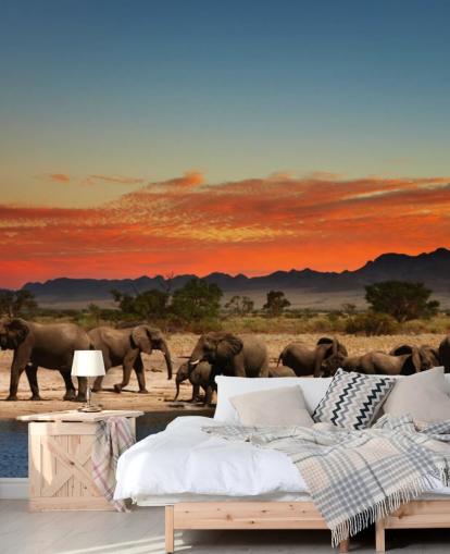 Paisaje al atardecer con elefantes fondo de pantalla