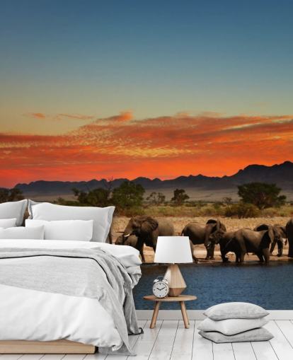 Fond d'écran paysage coucher de soleil avec éléphants