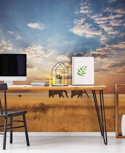 Elefantes al atardecer