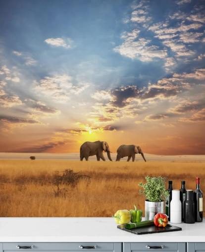 Elefantes al atardecer Elefantes al atardecer