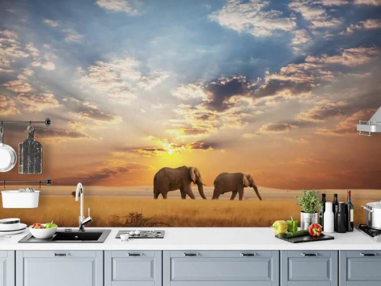 Elephant Wallpaper & Wall Murals Wallsauce US