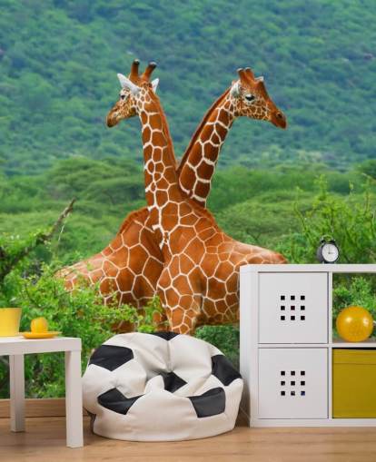 Giraffer Fighting Tapet