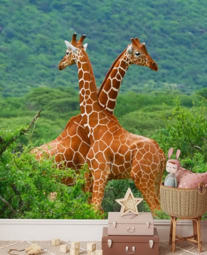 Giraffer Fighting Tapet