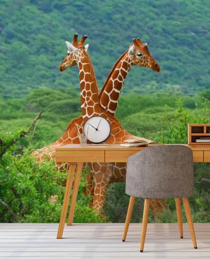 Giraffes Fighting Wallpaper