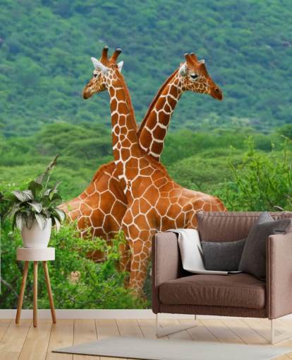 Carta da parati con giraffe Carta da parati con giraffe