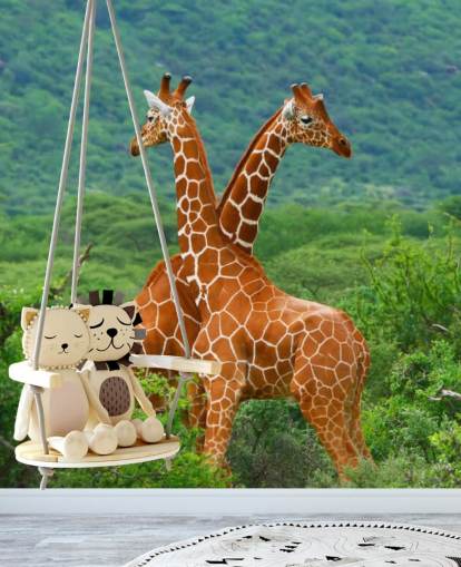 Giraffes Fighting Wallpaper Giraffes Fighting Wallpaper