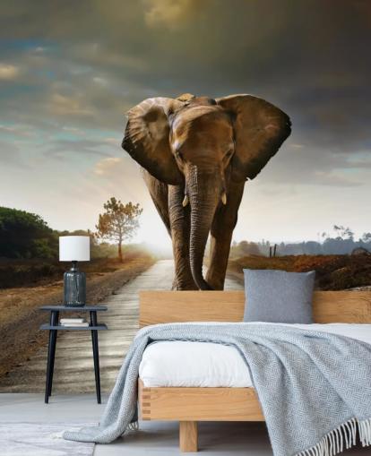 Papel de Parede Elefante Caminhando