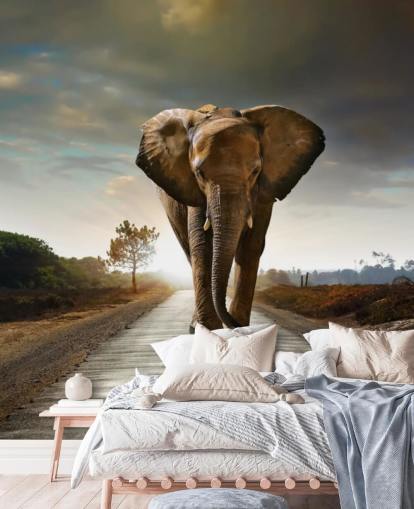 Elefant geht auf Pfad-Tapete
