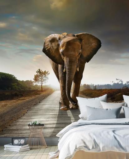 Elephant Walking on Path Wallpaper