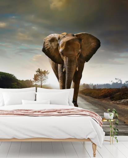 Elephant Walking on Path Wallpaper