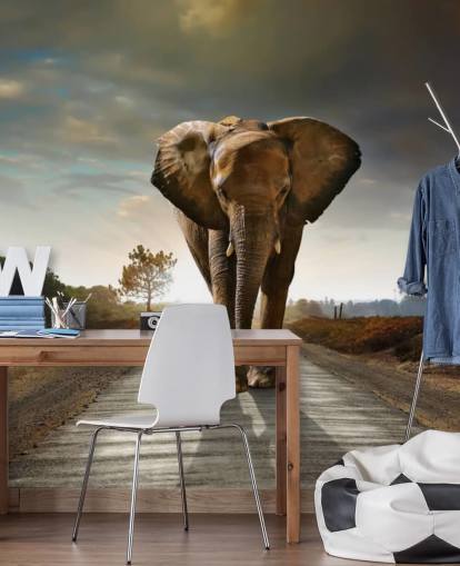 Olifant wandelen op pad behang Olifant wandelen op pad behang