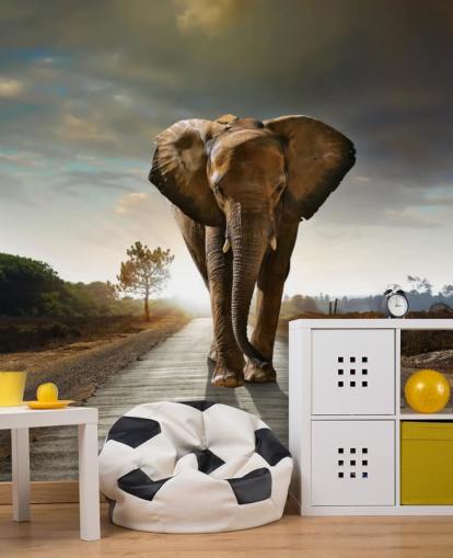 Fondo de pantalla de elefante caminando por camino