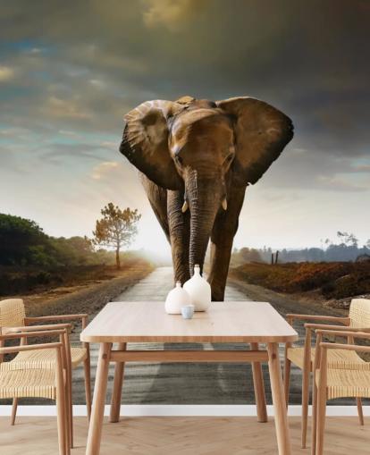 Papel de Parede Elefante Caminhando Papel de Parede Elefante Caminhando
